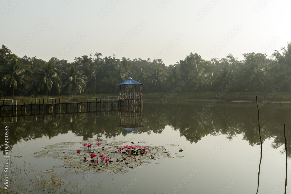 The Sundarbans is a vast forest in the coastal region of the Bay of Bengal and considered one of the natural wonders of the world.