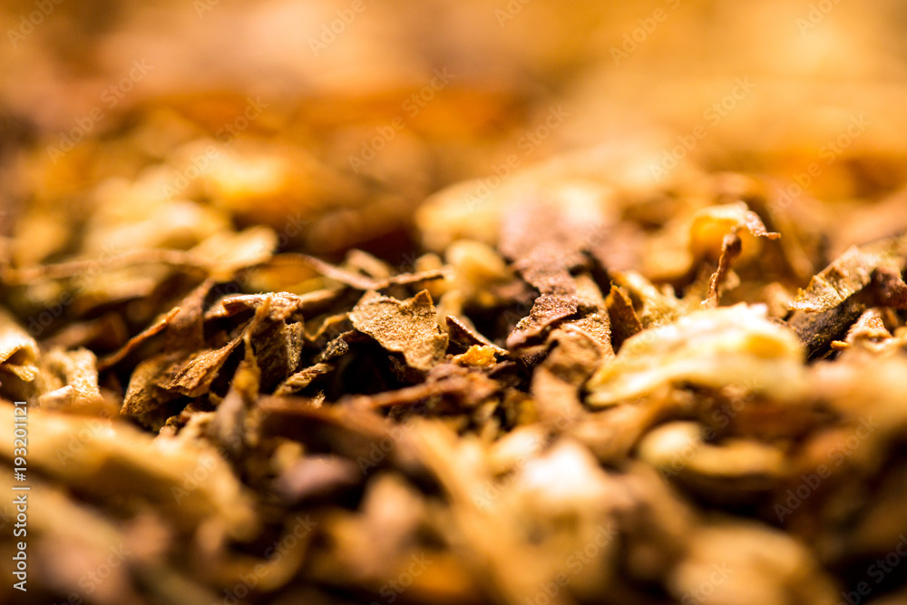 Tobacco Tobacco
