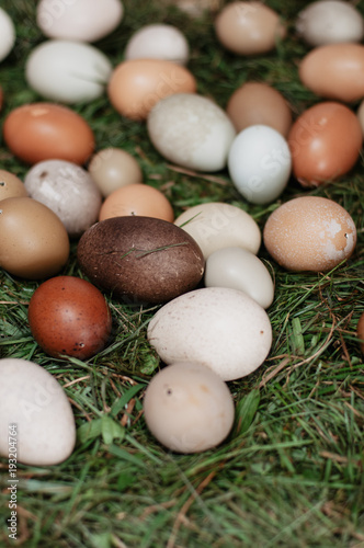 Various organic blown-out white and brown edible eggs, such as hens eggs, duck eggs, pheasant eggs in grass nest for sale at a farmers' market for easter decoration, DIY, painting or crafting