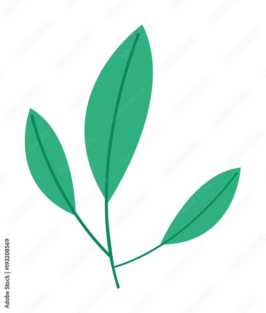 Obraz premium leafs plant ecology icon vector illustration design