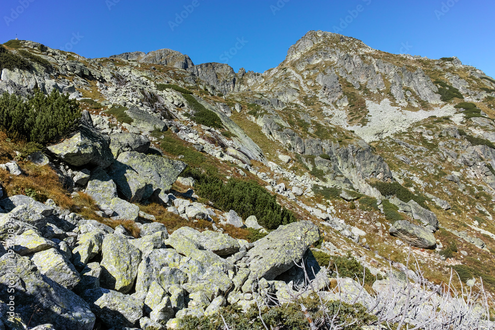 The valley of Malyovishka river, Rila Mountain, Bulgaria The valley of Malyovishka river, Rila Mountain, Bulgaria