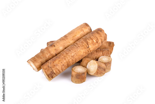 fresh burdock root or Gobo on white background photo