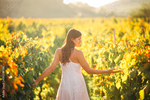 Smiling elegant woman in nature.Joy and happiness.Serene female in wine grape field in sunset.Wine growing field.Agricultural tourism.Visiting winery and vineyards.Wine expert,sommelier.Wine steward © eldarnurkovic