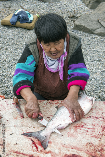Senior Chukchi woman cuts  just catched sallmon on the sea shore and prepared it for drying