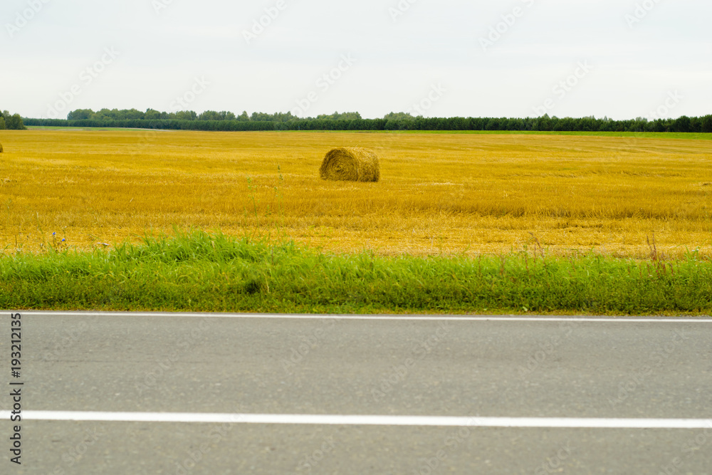 Ταπετσαρία haymaking, harvesting in the fields near the road