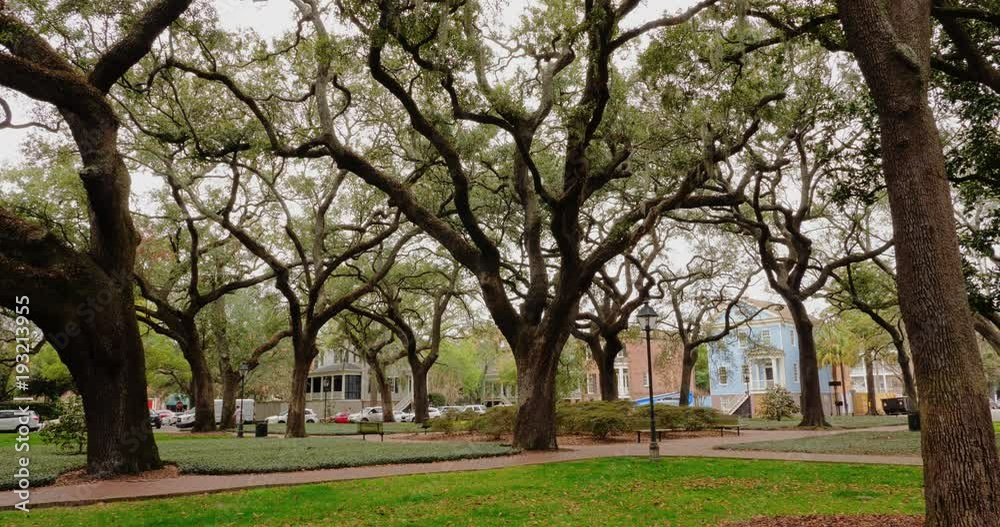 A daytime outside exterior (DX) establishing shot of a typical tree-lined park or town square in downtown Savannah, Georgia.  	