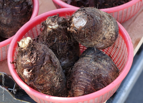 Large Taro Roots