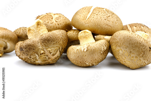 Shiitake fresh mushrooms on white background isolated with copy space