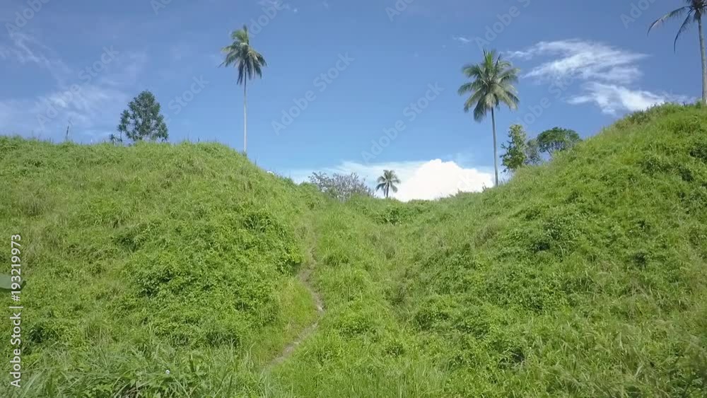 A birds eye view shot of mountains and trees. Camera moves forward A birds eye view shot of mountains and trees. Camera moves forward