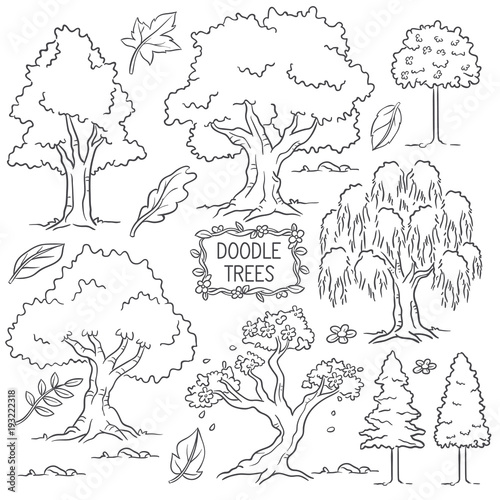 Hand Drawn Doodle Tree