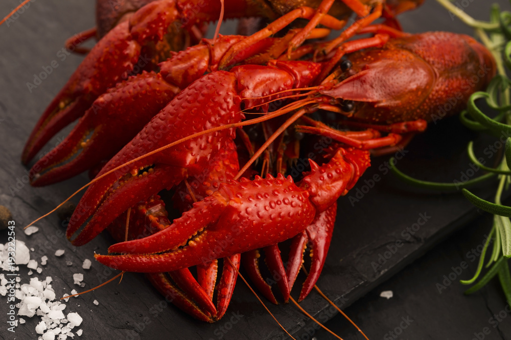 Delicious food. Cancer the river boiled Delicious food. Cancer the river boiled