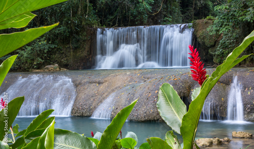 malownicze-wodospady-i-kwiat-lrd-na-jamajce