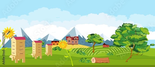 Green field with beehives, horizontal web banner vector illustration.