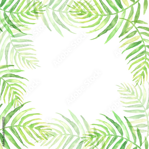 Watercolor Palm leaf background. Green on white watercolor hand drawn illustration. Green tropical palm leaf. watercolor watercolor card  postcard  invitation