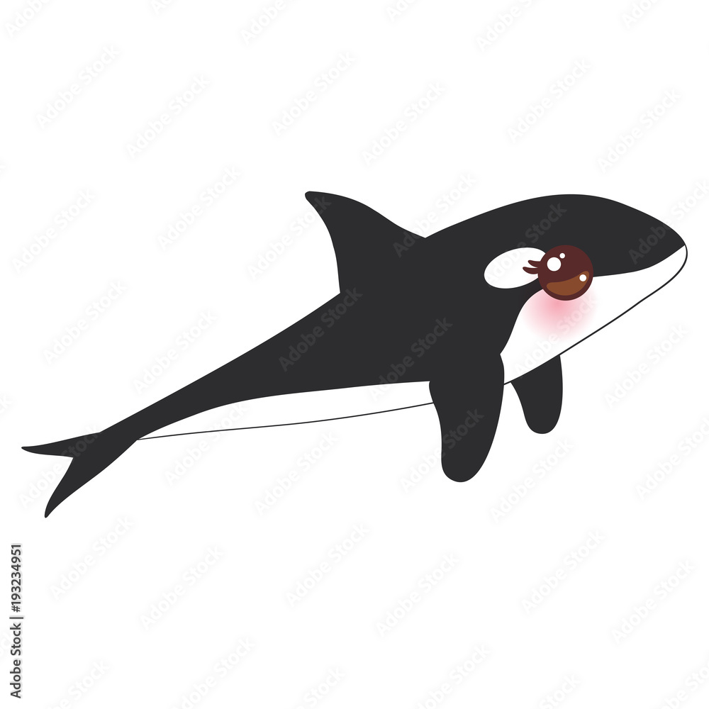 Cartoon grampus orca, killer whale, sea wolf Kawaii with pink cheeks and  positive smiling on white background. Vector vector de Stock | Adobe Stock