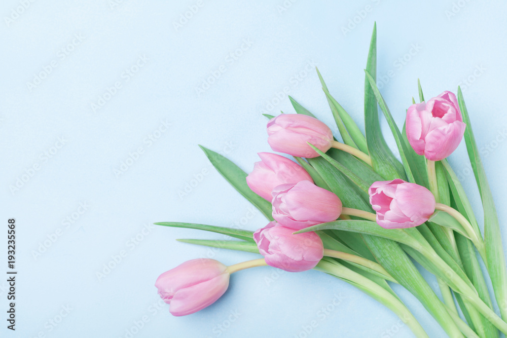 Bouquet of pink tulips for March 8, International Womans or Mothers day. Beautiful spring card. Top view.
