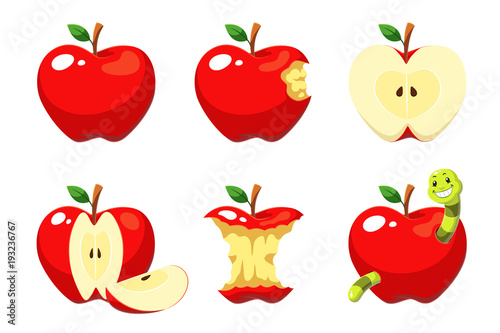 Apple fruit vector