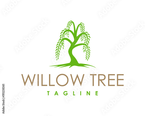 Willow Tree Symbol Logo Vector