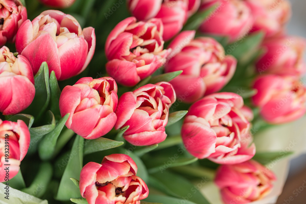 close-up. beautiful luxury bouquet of pink tulips flowers on table. the work of the florist at a flower shop. close-up. beautiful luxury bouquet of pink tulips flowers on table. the work of the florist at a flower shop.