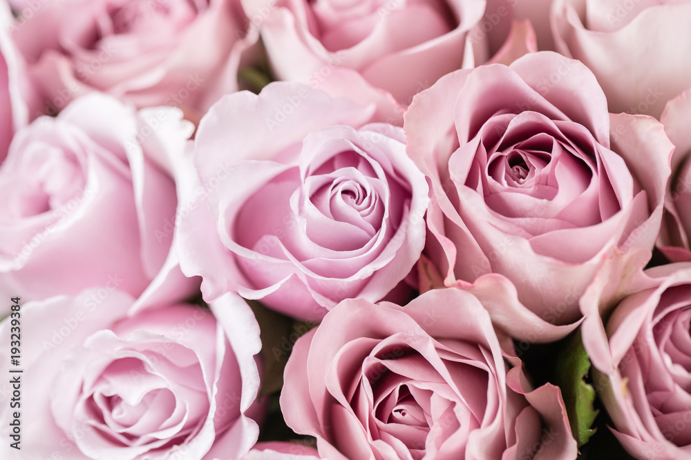 Lilac garden rose. Bouquet flowers of roses in glass vase. Shabby chic home decor. Morning dew - variety. Wallpaper