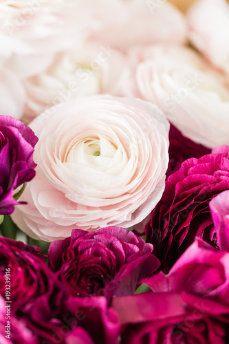 Persian buttercup. Bunch colorful and pale pink ranunculus flowers light background. Glass vase on pink vintage wooden table. Wallpaper