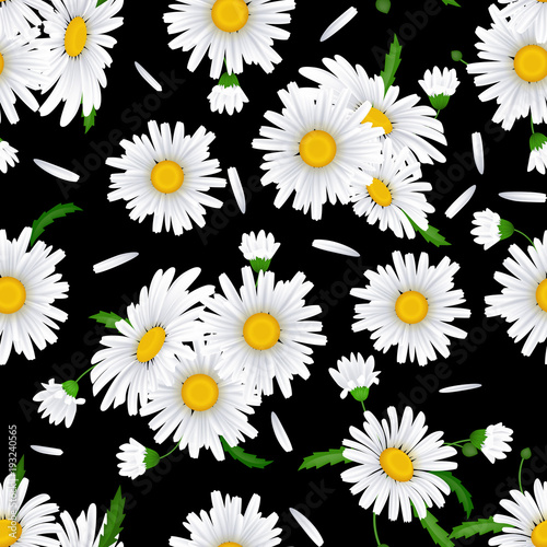Seamless pattern with camomile flowers on a blue background