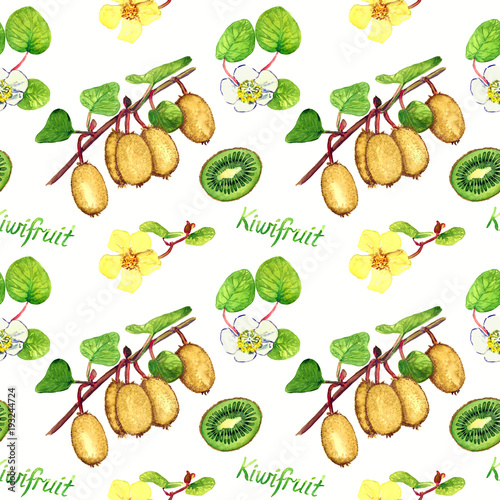 Kiwifruit branches with ripe fruits, male and female flowers, cut half with inscription, bright colors palette, seamless pattern design, hand painted watercolor illustration, white background