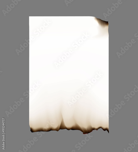 scorched piece of old paper or parchment 