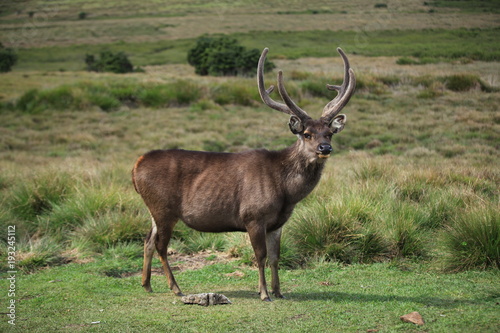 Horton plains National Park Sri Lanka