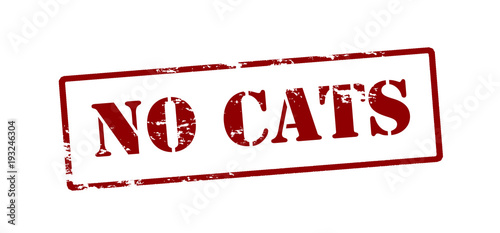No cats
