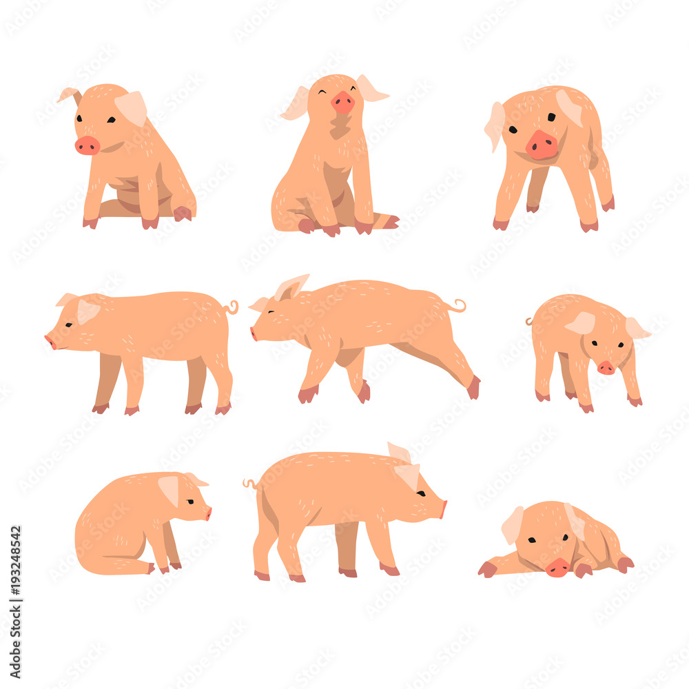 Cute little pig set, funny piggy in different actions set of cartoon vector Illustrations isolated on a white background Cute little pig set, funny piggy in different actions set of cartoon vector Illustrations isolated on a white background