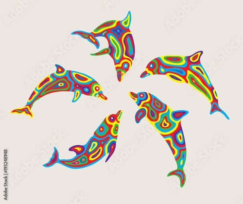 Colorfully Dolphin Set, art vector design photo