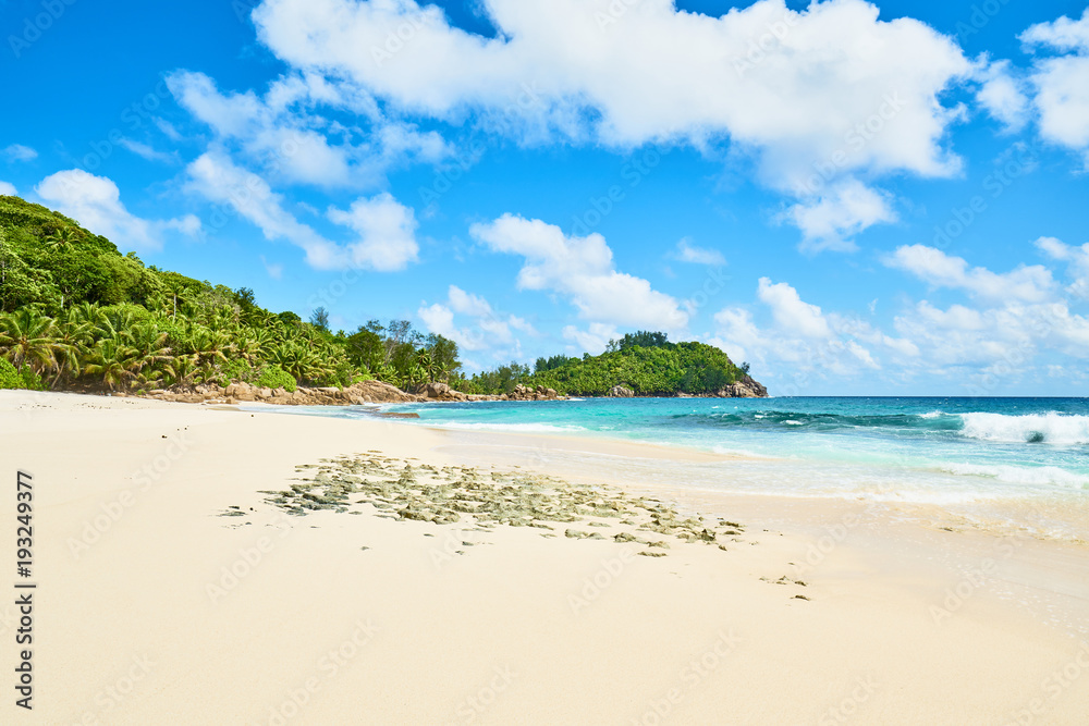 beautiful paradise beach anse bazarca. white sand,turquoise water,palm trees, granite rocks, seychelles