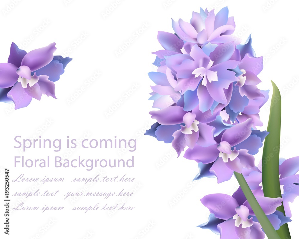 Violet flowers card. Spring background Vector