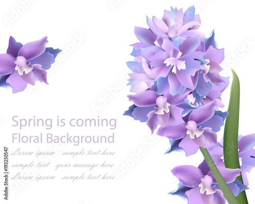 Violet flowers card. Spring background Vector