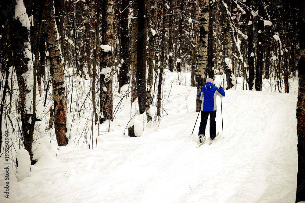 winter sport, people going skiing, winter forest, a skier rides a ski in the woods