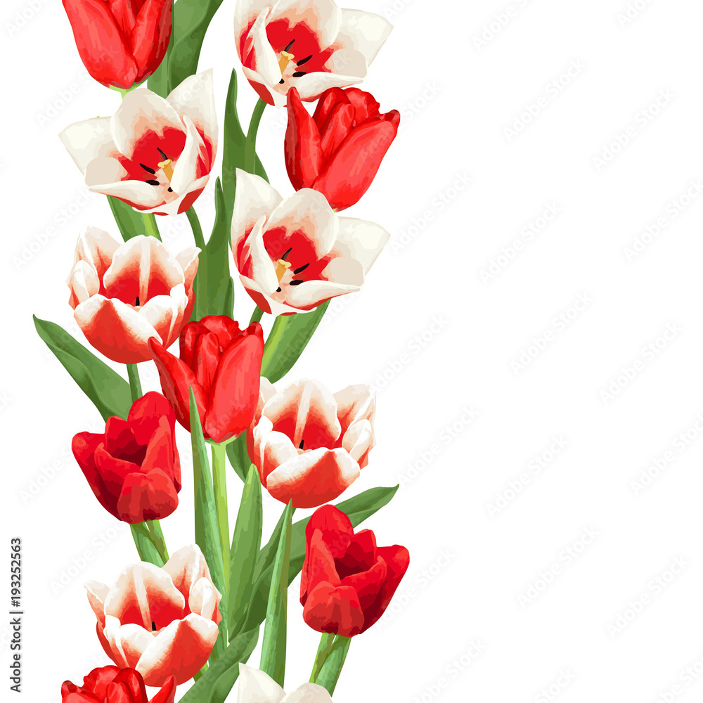 Obraz premium Seamless border with red and white tulips. Beautiful realistic flowers, buds and leaves