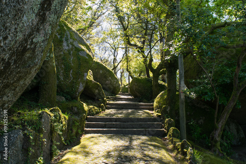 Path leading through the park on Mount Penha outside Guimaraes, Portugal