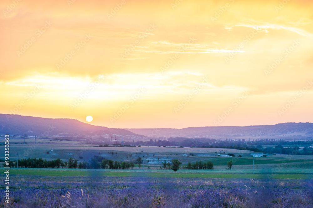 Landscape, sunny dawn in a flowers field, romantic time