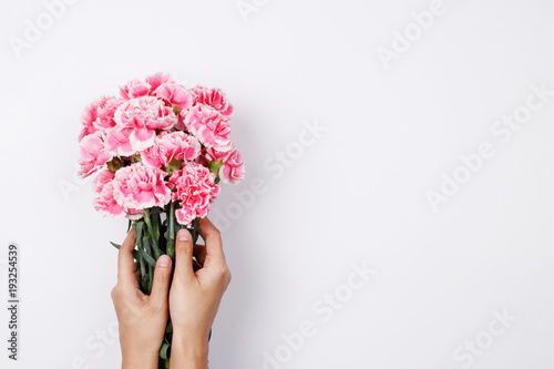 Woman hand hold pink carnation on white background. Flat lay, top view minimal festive spring flower background.