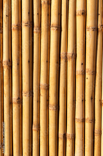 Fototapeta Naklejka Na Ścianę i Meble -  abstract texture background of the bamboo wall