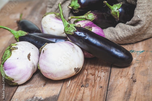 bag of blue eggplants rests on white photo