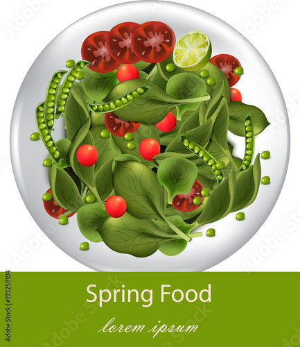 Spring salad with spinach Vector realistic plates