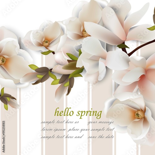 Hello spring card with magnolia flowers. Vintage Vector realistic backgrounds