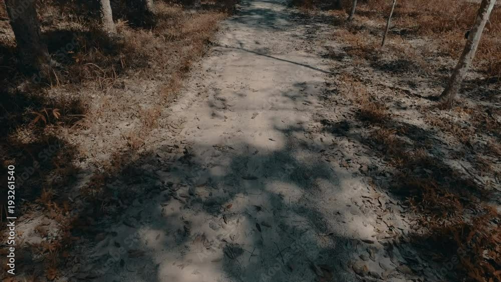 Aerial drone view of flying dancing leaves on the pathway in the rubber forest - video in slow motion Aerial drone view of flying dancing leaves on the pathway in the rubber forest - video in slow motion