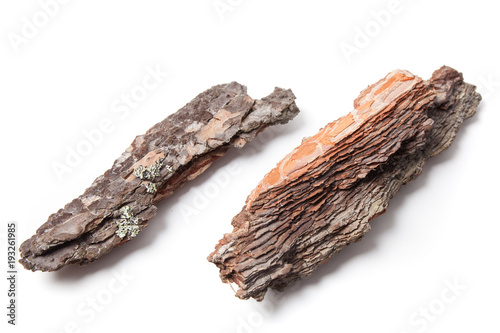 Pieces of Pine Bark