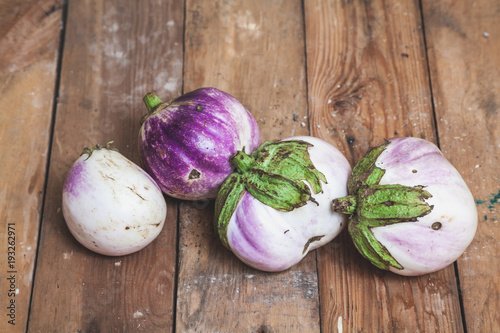 Four ripe eggplant varieties of bumbo lie on boards photo