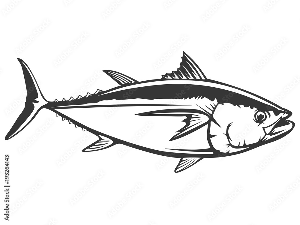 Tuna fish detailed isolated Tuna fish detailed isolated