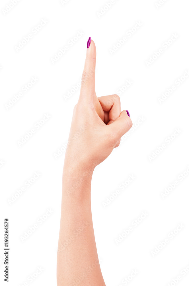 Woman's hands with neat manicure. Isolated on white background. Woman's hands with neat manicure. Isolated on white background.