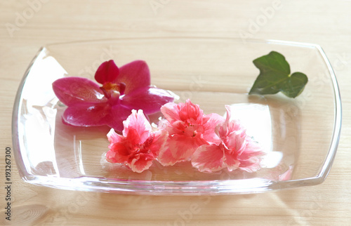 pink blossoms on a glass plate
